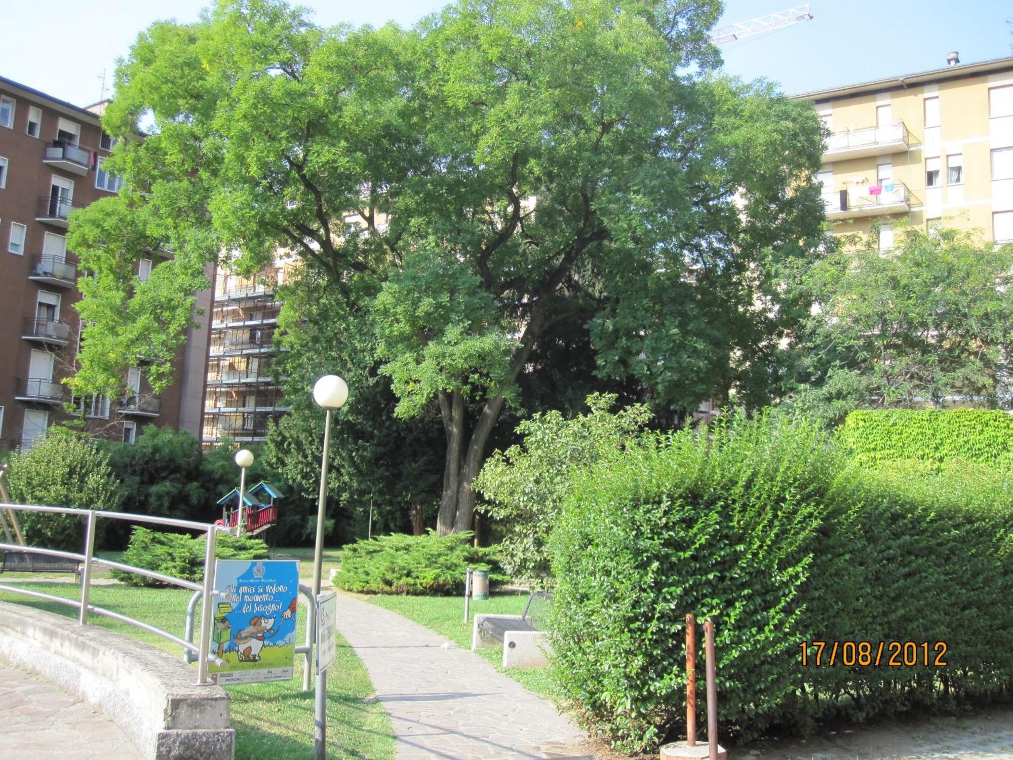Piazzi House Aparthotel Sondrio Bagian luar foto